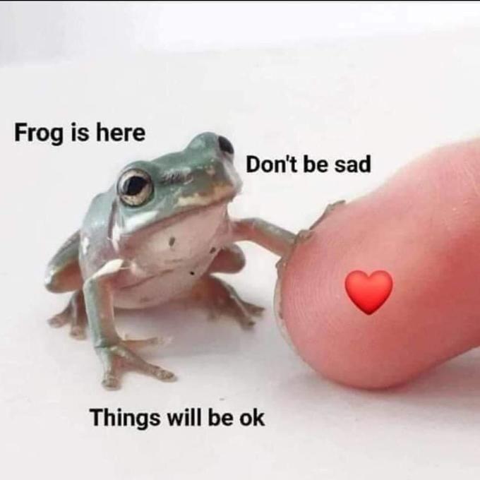 Frog makes it better