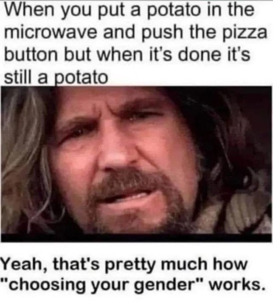 PotatoPizzaGender