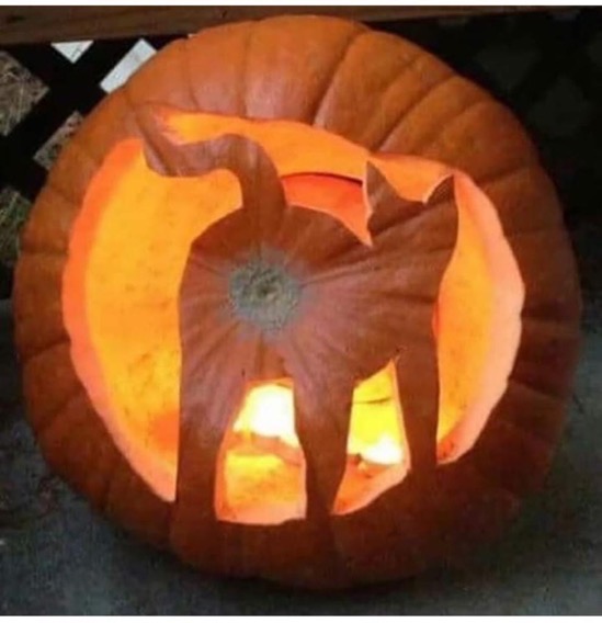 CatsAssPumpkin