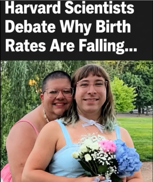 BirthRatesExplainer.png