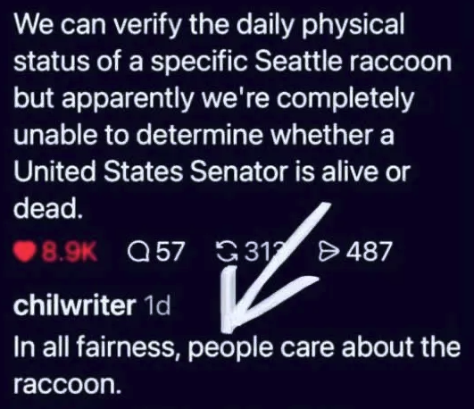 MitchRaccoon.png