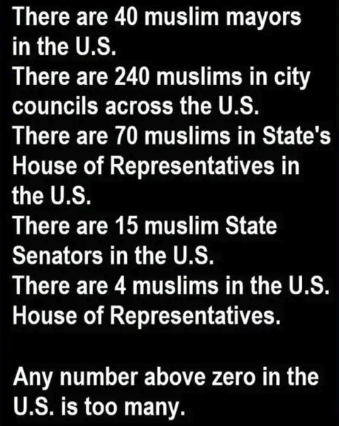 TooManyMoslems.png