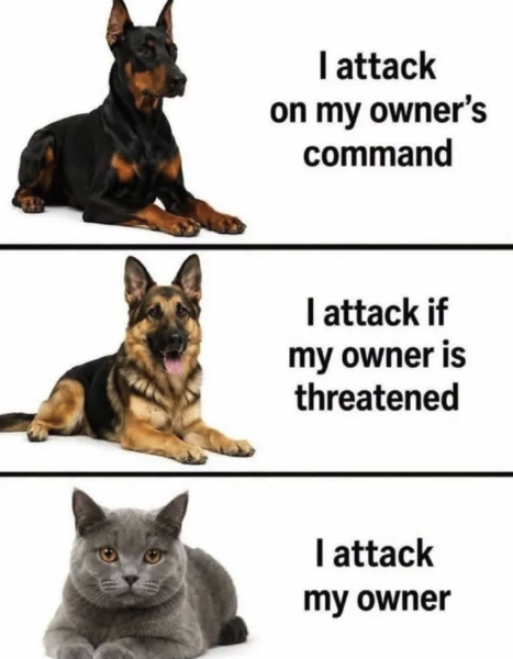 AnimalAttacks.png