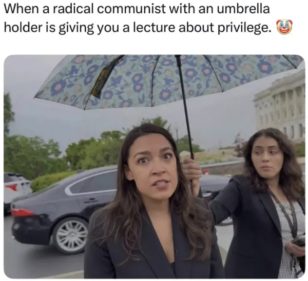 AOCPrivilege.png