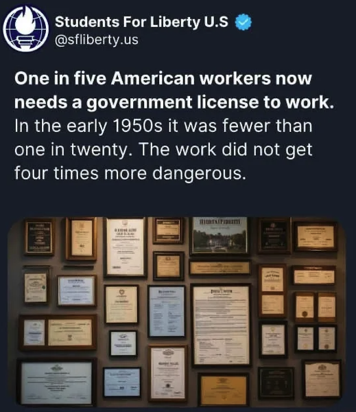 GovtLicensing.png